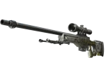 StatTrak™ AWP | Worm God (Field-Tested)